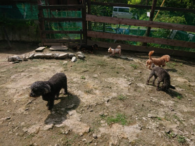 f:id:roukenhome-ann:20190726143551j:plain
