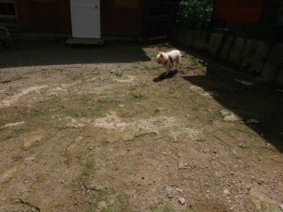 f:id:roukenhome-ann:20190726143556j:plain