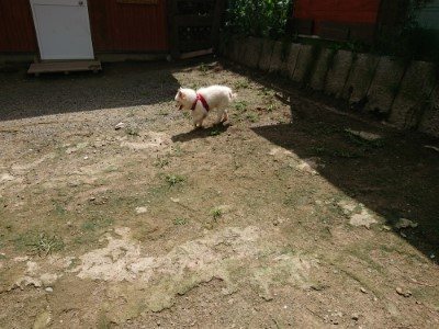 f:id:roukenhome-ann:20190726143600j:plain