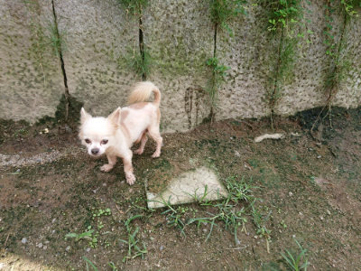 f:id:roukenhome-ann:20190726143618j:plain