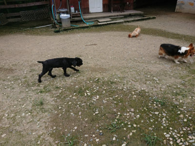 f:id:roukenhome-ann:20190726143635j:plain