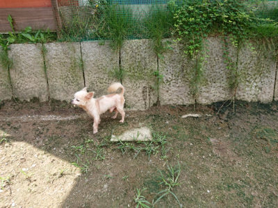 f:id:roukenhome-ann:20190726143641j:plain
