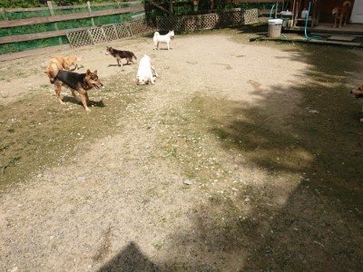 f:id:roukenhome-ann:20190726143644j:plain