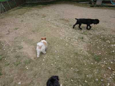 f:id:roukenhome-ann:20190726143655j:plain