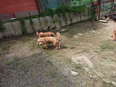 f:id:roukenhome-ann:20190726143659j:plain