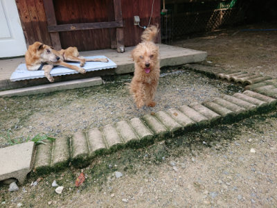 f:id:roukenhome-ann:20190726143714j:plain