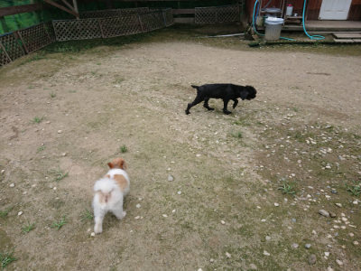 f:id:roukenhome-ann:20190726143719j:plain