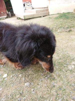 f:id:roukenhome-ann:20190726143723j:plain