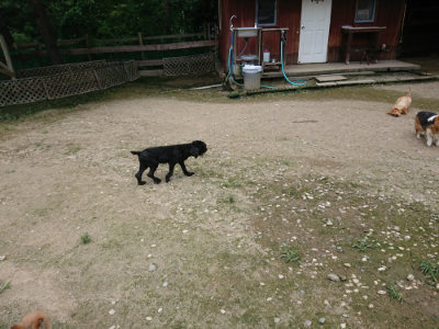 f:id:roukenhome-ann:20190726143737j:plain