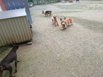 f:id:roukenhome-ann:20190726143743j:plain
