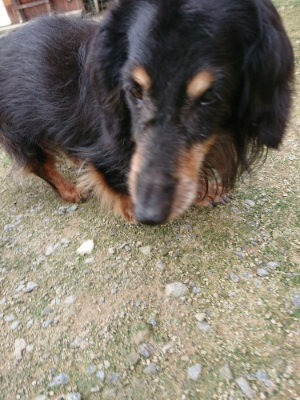 f:id:roukenhome-ann:20190726143748j:plain