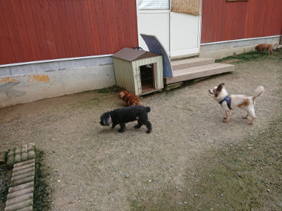 f:id:roukenhome-ann:20190726143816j:plain