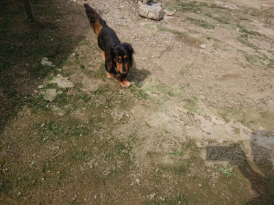 f:id:roukenhome-ann:20190726145850j:plain