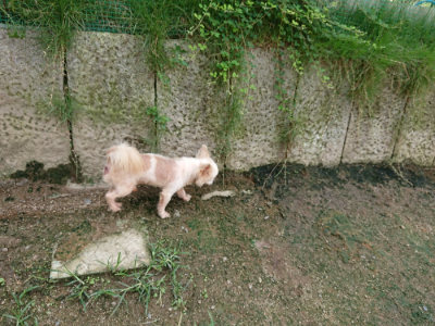 f:id:roukenhome-ann:20190726145915j:plain