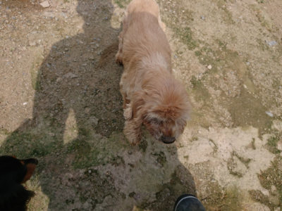 f:id:roukenhome-ann:20190726145934j:plain