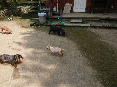 f:id:roukenhome-ann:20190726145938j:plain