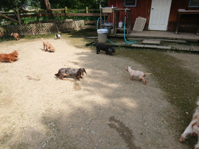 f:id:roukenhome-ann:20190726150003j:plain