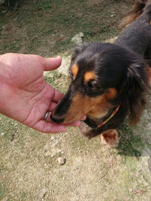 f:id:roukenhome-ann:20190726150045j:plain