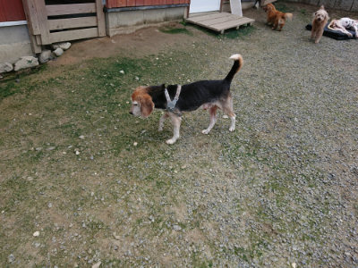 f:id:roukenhome-ann:20190726150058j:plain