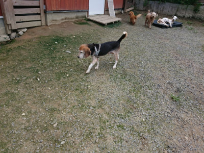 f:id:roukenhome-ann:20190726150114j:plain