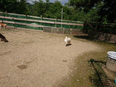 f:id:roukenhome-ann:20190726150126j:plain
