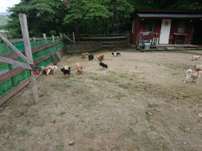f:id:roukenhome-ann:20190726150136j:plain