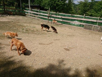 f:id:roukenhome-ann:20190726150141j:plain