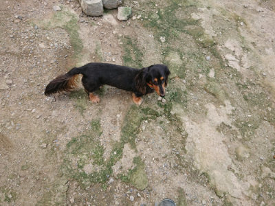 f:id:roukenhome-ann:20190726150208j:plain