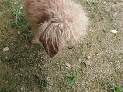 f:id:roukenhome-ann:20190726152342j:plain
