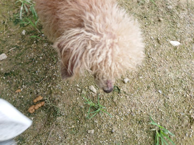 f:id:roukenhome-ann:20190726152359j:plain