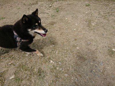 f:id:roukenhome-ann:20190726152446j:plain