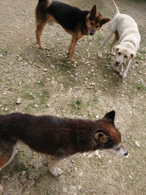 f:id:roukenhome-ann:20190726152452j:plain