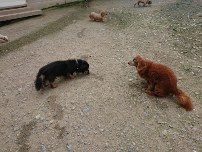 f:id:roukenhome-ann:20190726152529j:plain