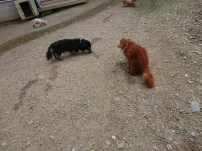 f:id:roukenhome-ann:20190726152547j:plain