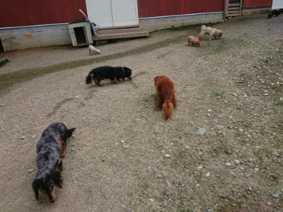 f:id:roukenhome-ann:20190726152620j:plain