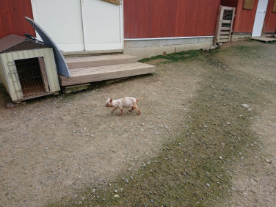 f:id:roukenhome-ann:20190726152626j:plain