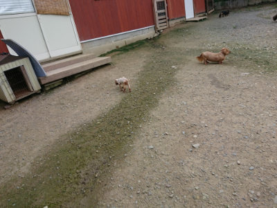 f:id:roukenhome-ann:20190726152634j:plain