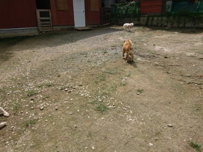 f:id:roukenhome-ann:20190726152645j:plain