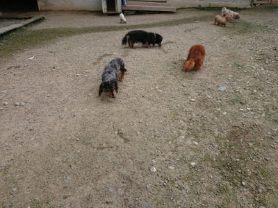 f:id:roukenhome-ann:20190726152713j:plain