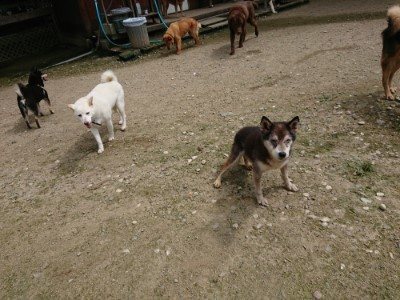 f:id:roukenhome-ann:20190726152717j:plain