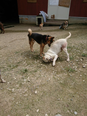 f:id:roukenhome-ann:20190726152733j:plain