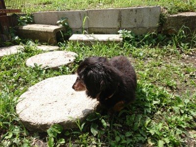 f:id:roukenhome-ann:20190726152738j:plain