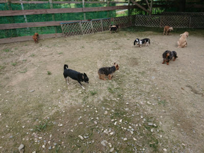 f:id:roukenhome-ann:20190726152743j:plain