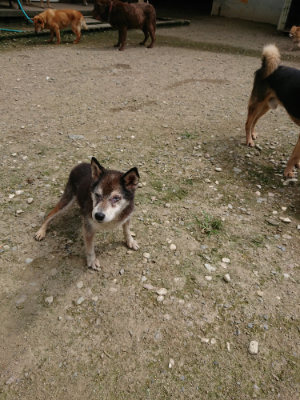 f:id:roukenhome-ann:20190726152748j:plain