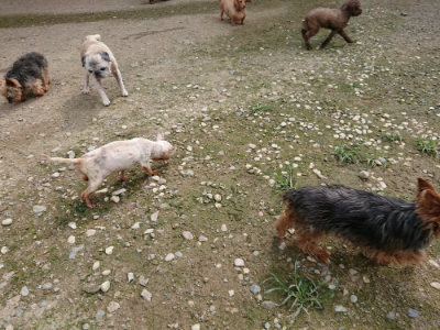 f:id:roukenhome-ann:20190726152802j:plain