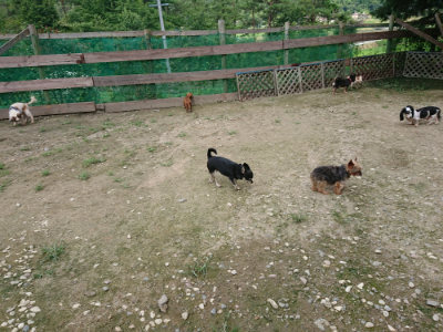 f:id:roukenhome-ann:20190726152807j:plain