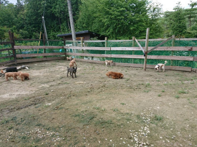 f:id:roukenhome-ann:20190726152825j:plain