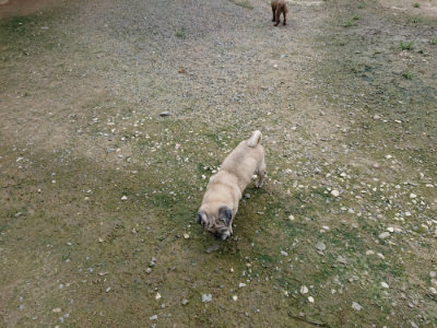 f:id:roukenhome-ann:20190726152931j:plain