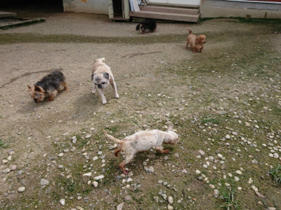 f:id:roukenhome-ann:20190726152955j:plain