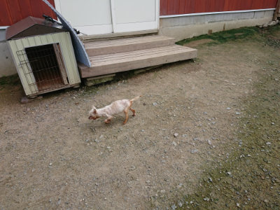 f:id:roukenhome-ann:20190726153118j:plain